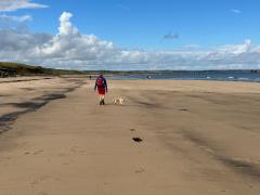Now we're talking! The wonderful North Sands